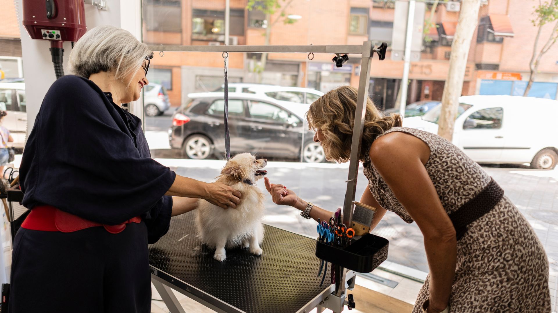 ペットサロンのホームページデザイン10選【ホームページ制作会社が厳選】