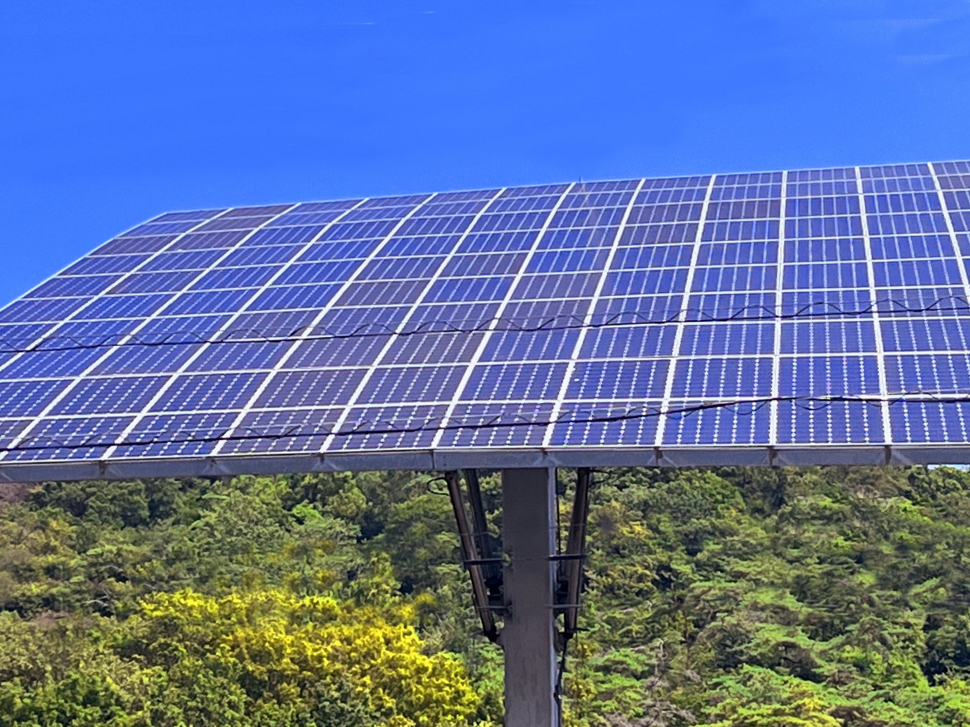太陽光発電事業者のホームページデザイン7選【プロが厳選】ホームページ制作会社【2025年】