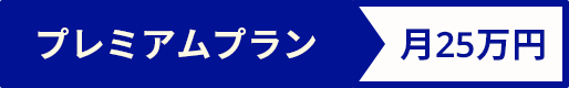 プレミアムプラン月25万円