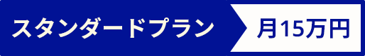 スタンダードプラン月25万円