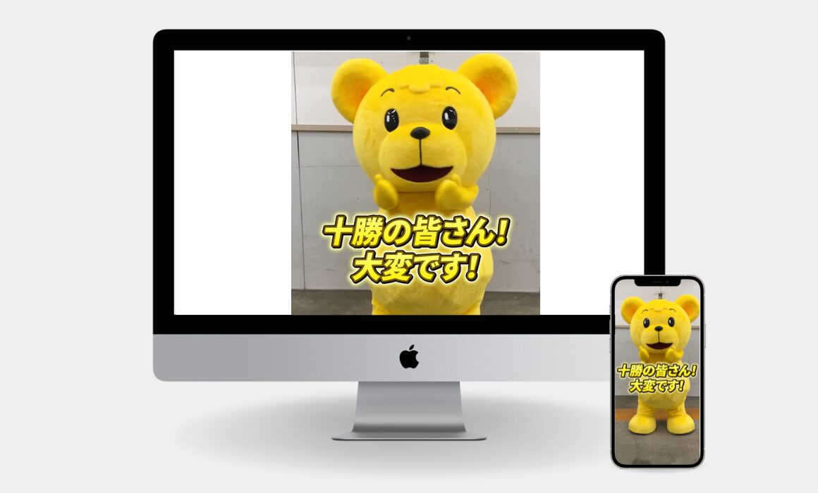 ショート動画 × 広告を活用し、2週間で30万回表示